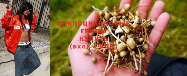 дистиллят марихуана Горняк