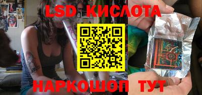 стаф Дубна