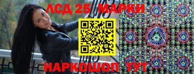 спиды Донской
