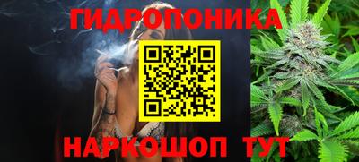 гашик Донецк