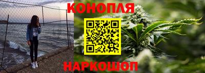 стаф Дубна
