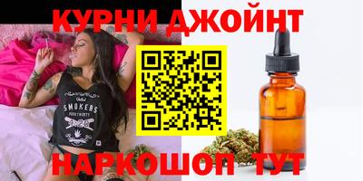 стаф Дубна