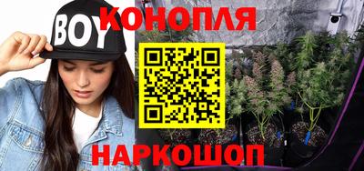 спиды Донской
