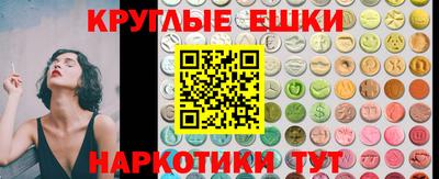 стаф Дубна