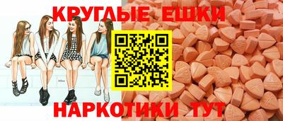 стаф Дубна