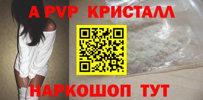 спиды Донской