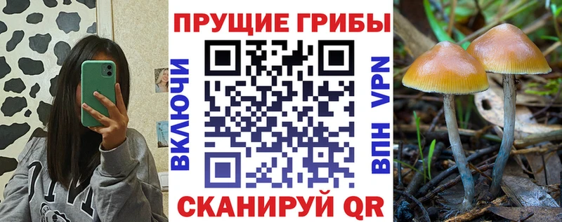 Галлюциногенные грибы MAGIC MUSHROOMS  это Telegram  Междуреченск 